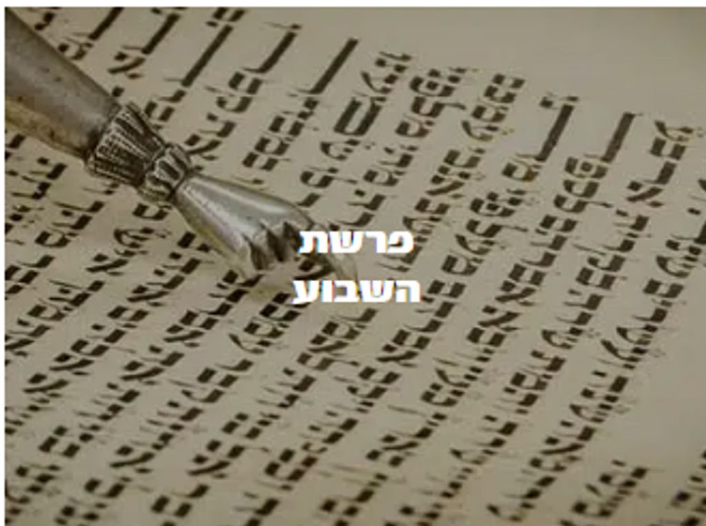 SHUTTERSTOCK פרשת השבוע