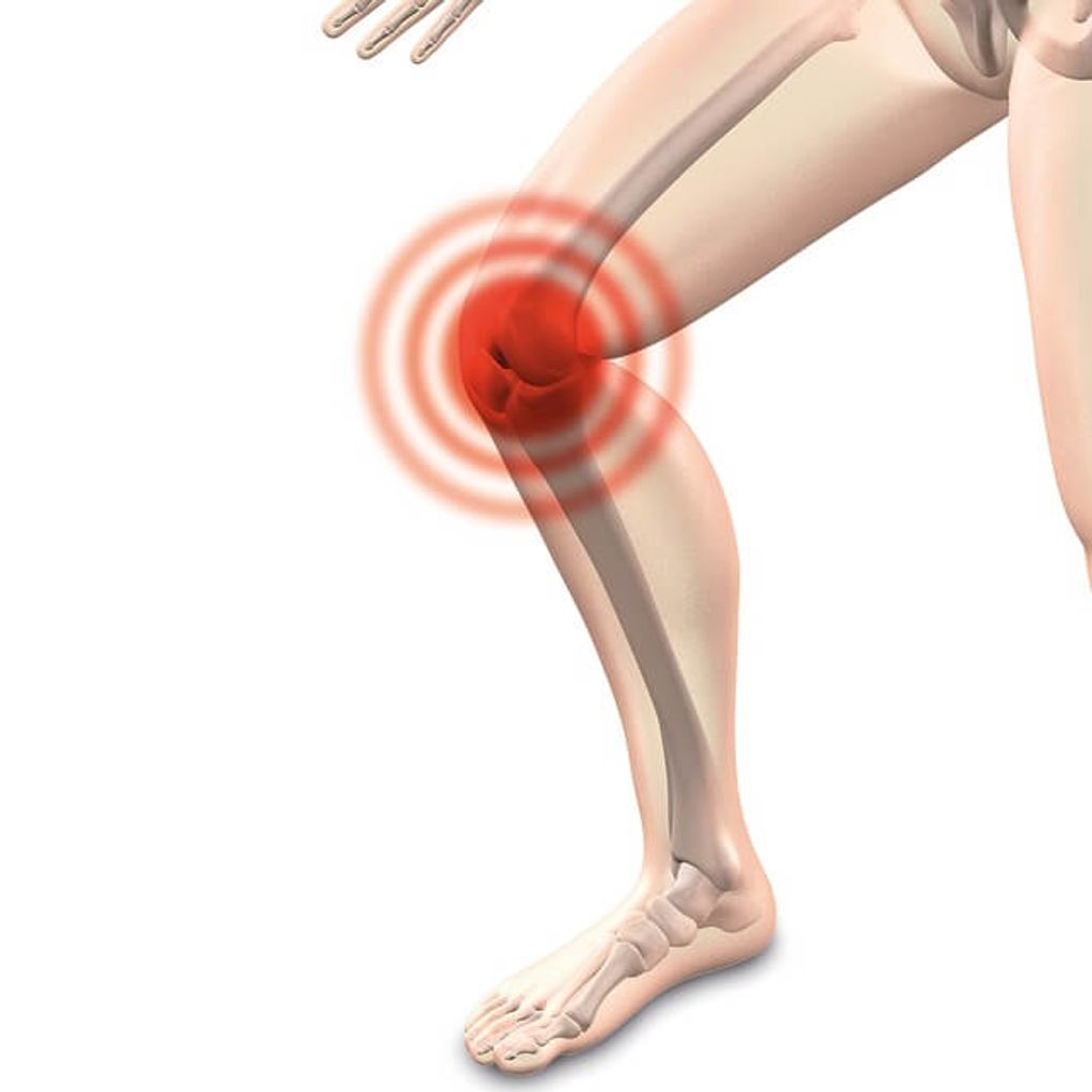 https://www.bar-ziv.co.il/wp-content/uploads/2019/03/שחיקת-סחוס-בברך.jpg שחיקת סחוס בברך